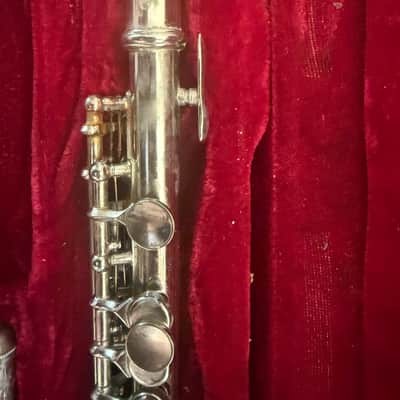 Piccolo with Case image 2