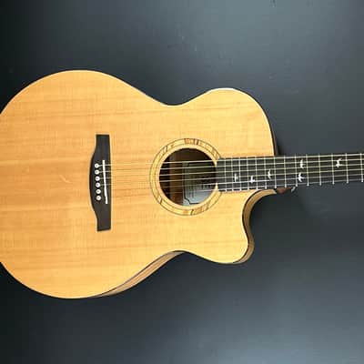 PRS SE Alex Lifeson Signature Thinline | Reverb