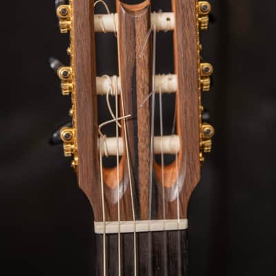Chris Carrington Classical Guitar SN 384 2023 - Gloss top and sides, satin back image 20