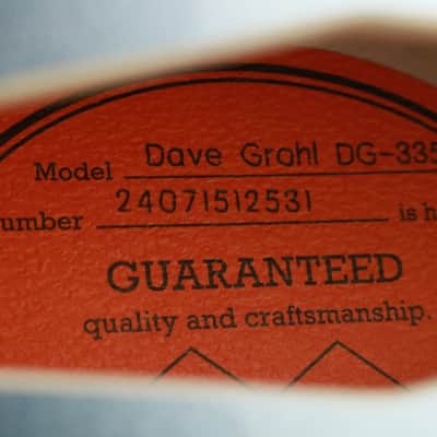 USED Epiphone Dave Grohl DG-335 (531) image 7