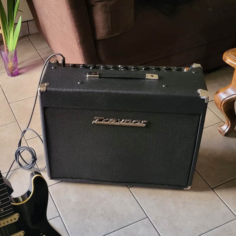 Traynor YCV50B Custom Valve 50-Watt 1x12" Guitar Combo image 1