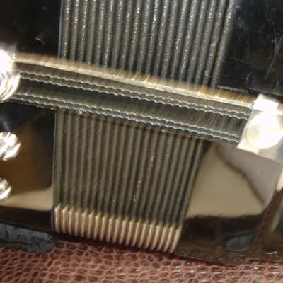 Philharmonic Piano Accordion, Black w/ Case & Straps image 12