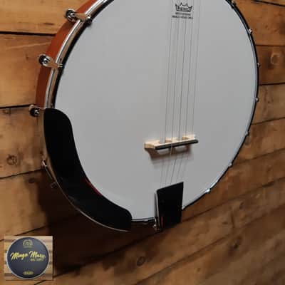 Epiphone MB-100 5 string banjo. image 7