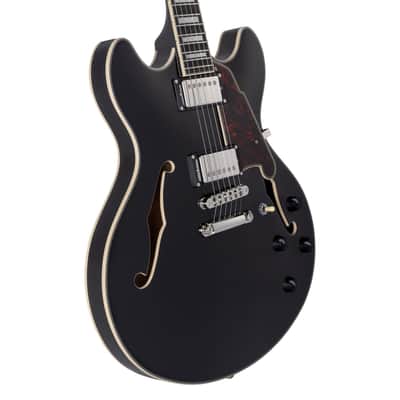 D'Angelico Premier DC w/ Gig Bag , Gtr Stand, Strap, Cable And Xtra Strings!2026 - Black Flake image 4