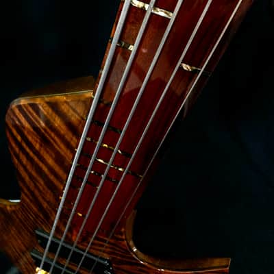 Bezard Guitars Famine 5 String Fretless, Custom Shop, Single Cut Boutique Bass image 16