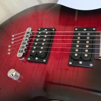 Washburn RX22, 2010, Flame Wine Sunburst, VG++ image 3