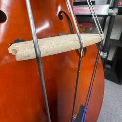 Eastman Strings. 3/4 Upright Bass. Concert Model.(Paige's)(2023)(Outfit) image 16