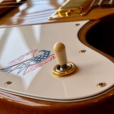 1976 Gibson Firebird Bicentennial Natural "first run" image 5