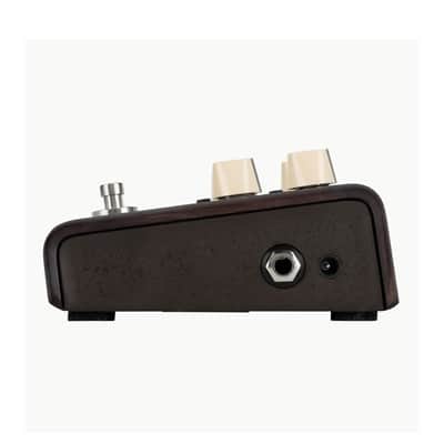 LR Baggs Align Series Delay Acoustic Pedal Bundle w/ 12x Picks and Liquid Audio Polishing Cloth image 4
