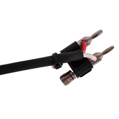 BS12Q10 - 10 Foot Banana to 1/4"" Speaker Cable -12 Gauge 2 Conductor image 2