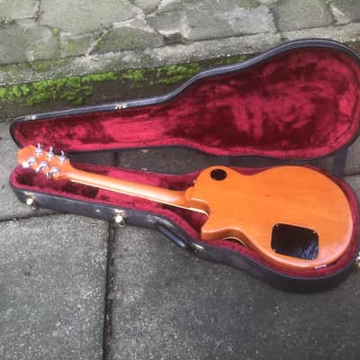 Guild Bluesbird image 14