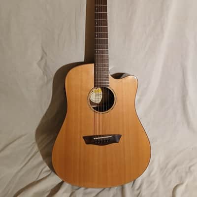 Washburn WD250SWCE SOLID ROSEWOOD BACK/SIDES SOLID SPRUCE TOP Acoustic Electric Guitar. image 4
