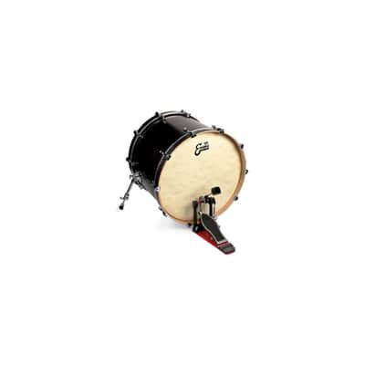 EVANS 20" EQ4 Calftone - Bass Drum Fell image 2