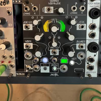 Make Noise Morphagene Module | Reverb