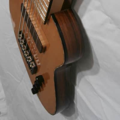 Rick Turner RB6-CST #13-3216, 6 String Bass Guitar image 4