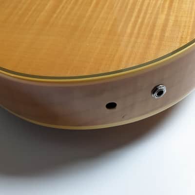 Cort Joe Beck Alto image 18