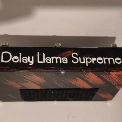 JAM Pedals Delay Llama Supreme 2010s - Hand Painted image 4
