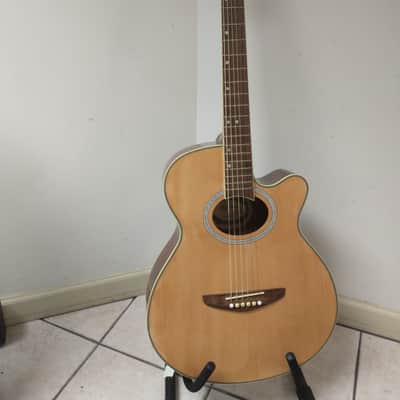 Rochester Brand Acoustic - Natural Finish, RARE image 1