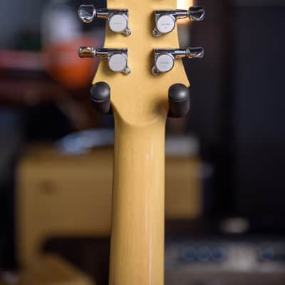 Campbell American Transitone owned by Ray LaMontagne image 5