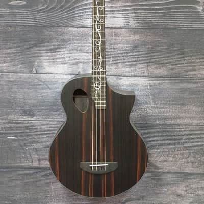 Michael Kelly Dragonfly 4 Acoustic Bass Guitar (Cleveland, OH) image 1