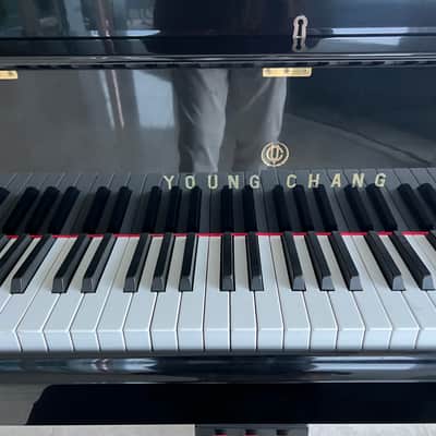 Young Chang G-150 Baby Grand Piano image 5