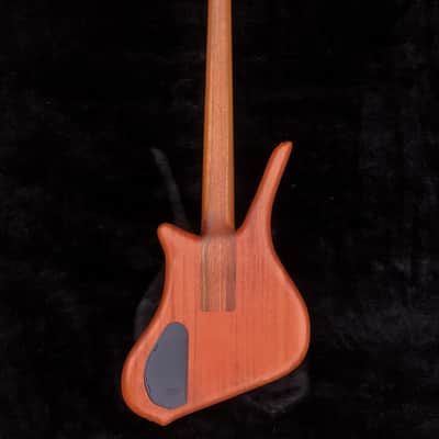 Warwick Dolphin SN TCS 5 String 2002 image 5