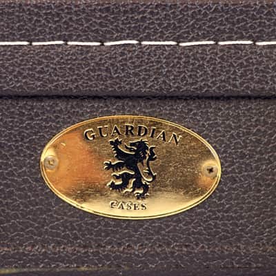 Guardian CG-044-HS Deluxe Vintage Hardshell Hollowbody Case 2010s - Black image 8