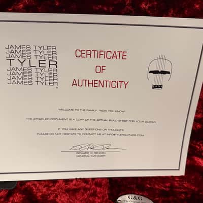 James Tyler  Studio Elite HSS with Boost and 4 toggle switches for advanced pickups settings , USA-2024, Hazmat Shmear image 20