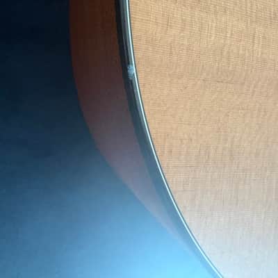 Taylor 114e Natural Electro-Acoustic Guitar image 9