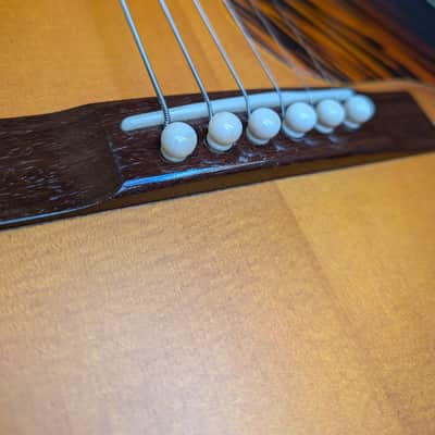 2021 IRIS DF Adi / Hog w/ EVO frets (VIDEO) image 11