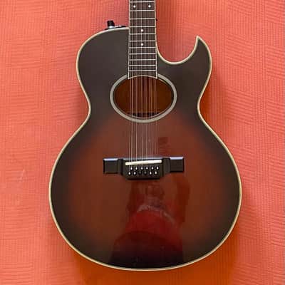 Washburn Woodstock 12 A — rare! | Reverb
