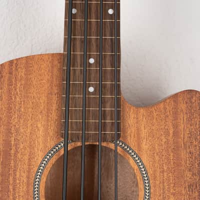 Gold Tone GT Series Micro Bass image 4