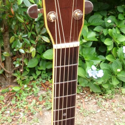 Takamine Elite TW60  Brazilian Rosewood '70 Natural+Hard Case image 10