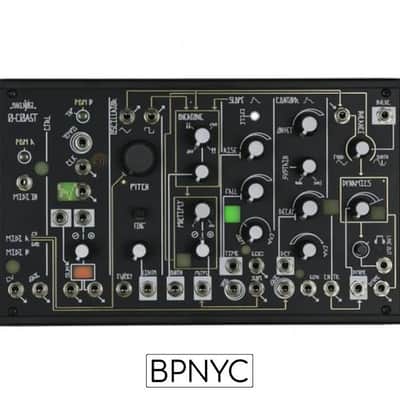 Make Noise 0-Coast image 1