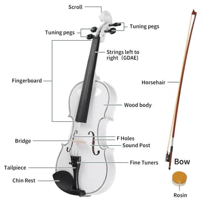 🎅🎄 For Pros and Beginners! Arctic White Violin +Case/Bag +Bow +Wax image 9