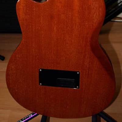 Gibson Chet Atkins CE nylon acoustic/electric guitar 1998 Chet Atkins image 5