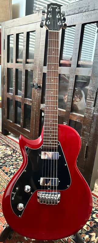 Taylor Taylor Solid Body - SB-X 2010 - Gloss image 1