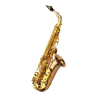 Yanagisawa A-WO20 Bronze model Elite Professional Alto Saxophone Clear Lacquer Finish MADE IN JAPAN image 4