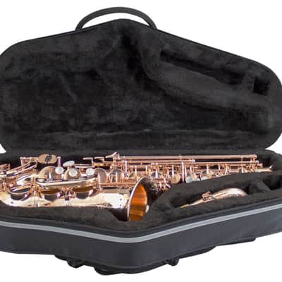 Champion Alto Sax case Bild 2