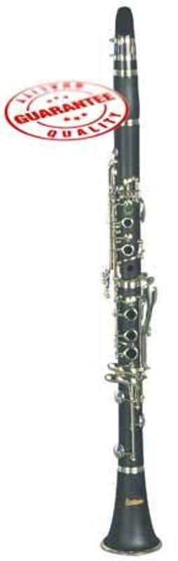 Hawk Bb Clarinet Outfit Matte Finish with Case, Mouthpiece and Reed image 1