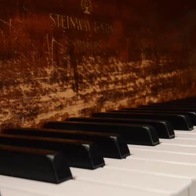 1906 Steinway B7 Classic 7' Grand Piano from Sunset Sound Factory #29919 image 23