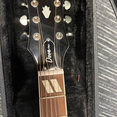 Epiphone Dove Pro WHITE w/case image 3