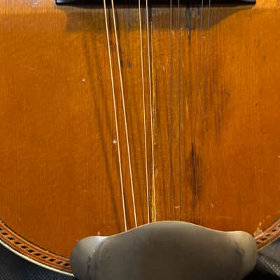 American conservatory Lyon & Healy Bowl Back mandolin - Early 1900s  - Brazilian Rosewood - All Org. - Great Player - Ships FREE!!! image 3
