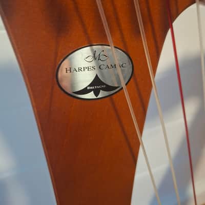CAMAC 22 string Bardic 2015-2020 - Wood image 2