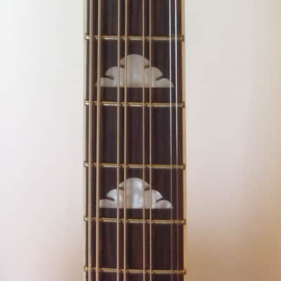 Douglas / MORTone Hollow body 8 string electric mandocello , guitar conversion image 2