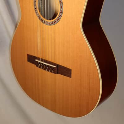 Godin Model # 049691 Etude Nylon String Classical Acoustic Guitar image 2