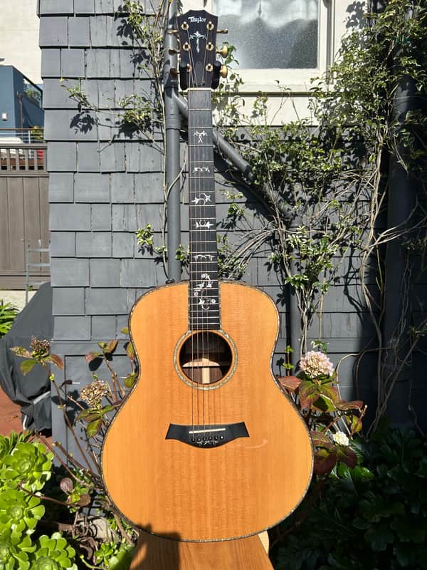 Taylor 918e 2013 image 1