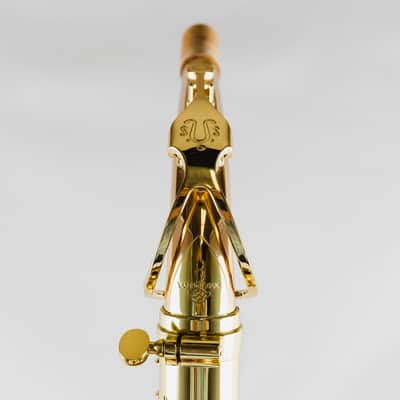 Yanagisawa AWO2 Professional Model Bronze Alto Saxophone image 7