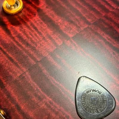 PRS 25th Anniversary Modern Eagle II Tremolo 2010 - Angry Larry image 23