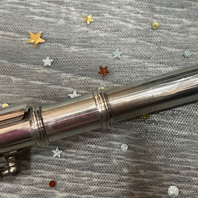 Haynes Piccolo Flute co boston mass 1979 - Sterling Silver Bild 20